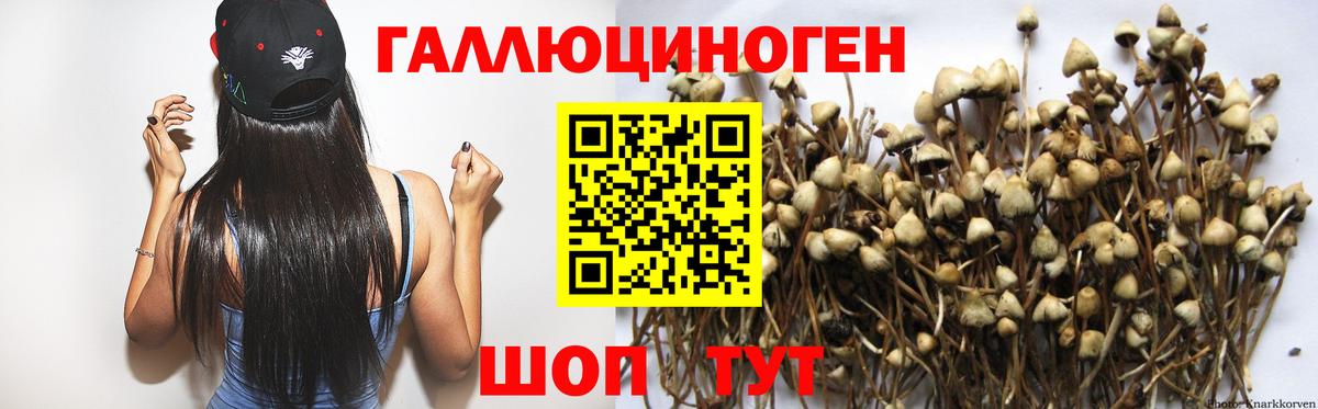 Псилоцибиновые грибы Psilocybine cubensis Россошь