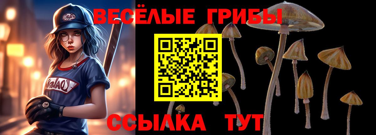 Россошь  Псилоцибиновые грибы Psilocybine cubensis  сколько стоит  Вход с VPN 